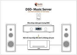 DSD-Music Server