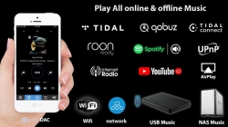 HQ-Audio DAC supports listening to digital music online and offline